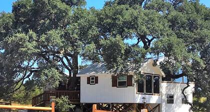 Delightful Dripping Springs Rental for a Tranquil Getaway in Texas