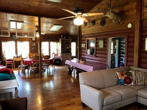 TV, fireplace, DVD player