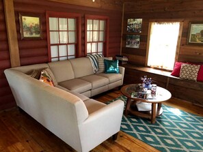 تلفزيون، مدفأة، مشغل دي في دي