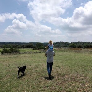 A person walking a dog in a grassy field with a fence and trees in the background. - Gorgeous Texas Hill Country Rental near Austin for a Relaxing Getaway in Texas (Dripping Springs)
