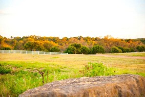 Unclassified image, 3 of 18, button