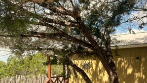 A wooden table with four white chairs, a wooden deck, and a tree providing shade.