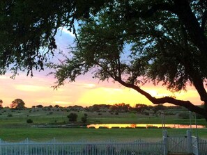 Miscellaneous - Gorgeous Texas Hill Country Rental near Austin for a Relaxing Getaway in Texas (Dripping Springs)