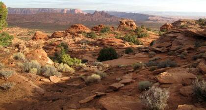 Unique Hogan Rental in a Beautiful Remote Location near the Grand Canyon