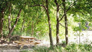 Outdoor dining - Spacious Cottage Rental for Group Getaway on Ranch near Dallas, Texas (Weatherford)