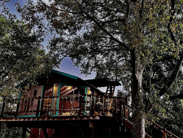 Une cabane en bois perchée dans un arbre, dotée d’un balcon et entourée d’un feuillage dense.