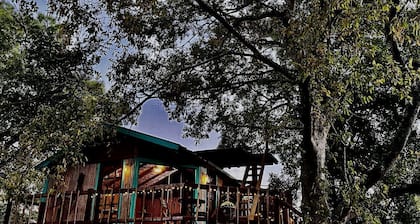 Unique Bamboo Tree House for an Unforgettable Couples Getaway by Lake Conroe, Texas