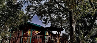 Unique Bamboo Tree House for an Unforgettable Couples Getaway by Lake Conroe, Texas