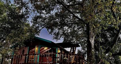 Unique Bamboo Tree House for an Unforgettable Couples Getaway by Lake Conroe, Texas