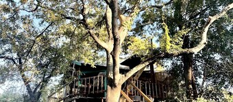 Unique Bamboo Tree House for an Unforgettable Couples Getaway by Lake Conroe, Texas