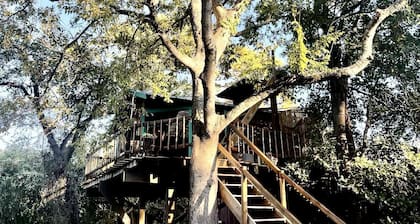 Unique Bamboo Tree House for an Unforgettable Couples Getaway by Lake Conroe, Texas