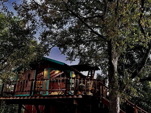Unique Bamboo Tree House for an Unforgettable Couples Getaway by Lake Conroe, Texas