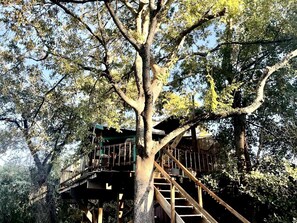A treehouse with wooden stairs and railings, surrounded by dense foliage.