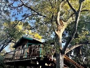 Una casa en un árbol con balcón, rodeada de árboles.