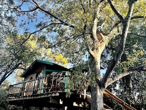 Une cabane dans les arbres dotée d’un balcon, entourée d’arbres.