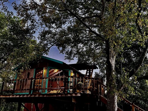Unique Bamboo Tree House for an Unforgettable Couples Getaway by Lake Conroe, Texas