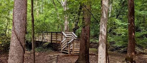 A forested area with a stone pathway leading to a wooden gate.