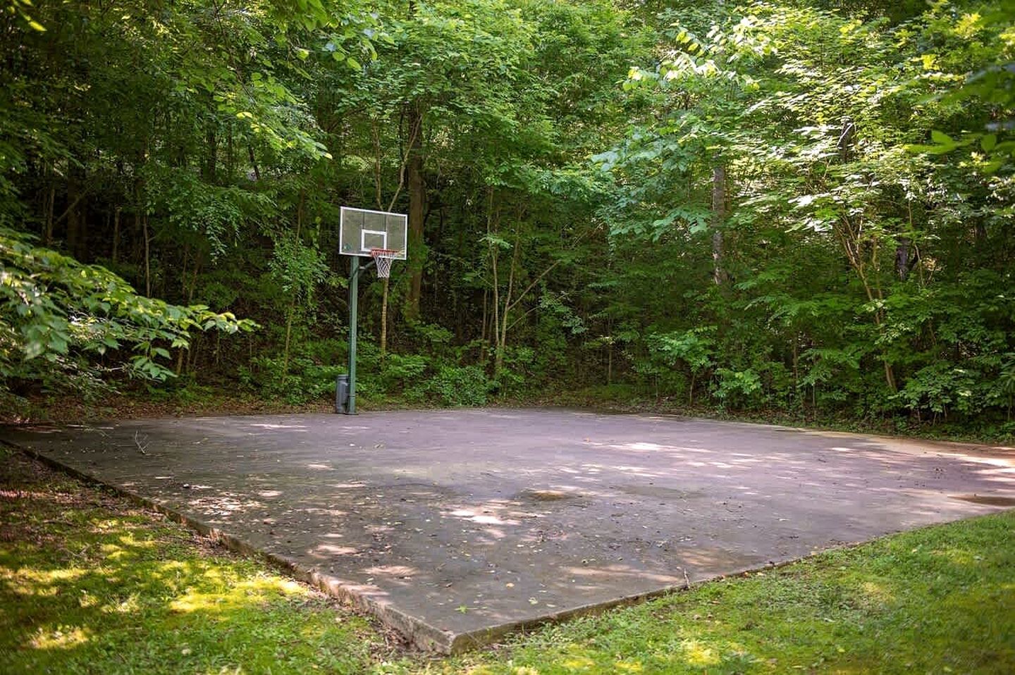 Una cancha de baloncesto rodeada de un bosque frondoso.