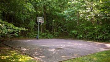 Una cancha de baloncesto rodeada de un bosque frondoso.