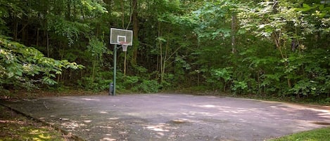 A basketball court surrounded by dense forest.