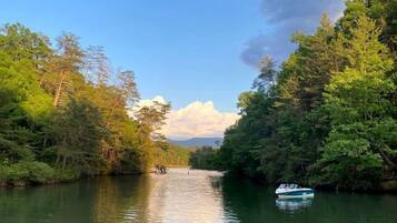 A calm river with a wooden dock extending into the water, surrounded by dense greenery and trees.