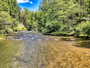 Une rivière aux eaux claires, bordée d’une forêt dense.
