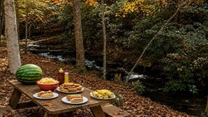 A picnic table set up in a forest with a stream in the background. - Secluded Cabin on Suches Creek and in the National Forest for a Relaxing Georgia Getaway (Suches)