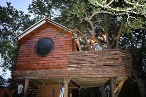 Exterior - Creekside Texas Tree House Rental on Lake Conroe (Willis)