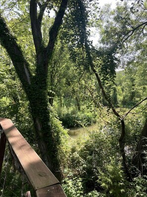 A wooden bridge over a river surrounded by dense greenery. - Creekside Texas Tree House Rental on Lake Conroe (Willis)