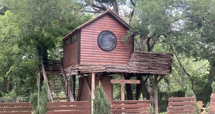 Creekside Texas Tree House Rental on Lake Conroe