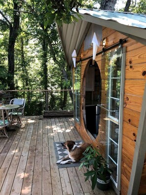 A wooden cabin with a deck, a glass door, and a potted plant.