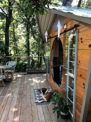 A wooden cabin with a deck, a glass door, and a potted plant. - Gorgeous Tree House Rental with Lake Views for Glamping in Texas (Willis)