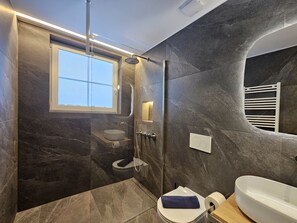 Shower, hair dryer, towels