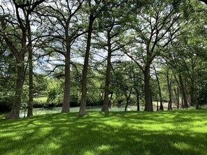 A park with tall trees and a grassy area.