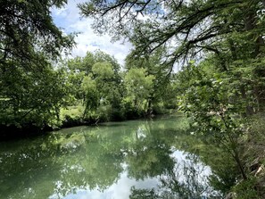 A calm river surrounded by dense greenery and trees. - Clear River Cabin on the Medina River in Bandera, Texas (Bandera)