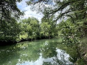 Un río tranquilo rodeado de abundante vegetación y árboles.