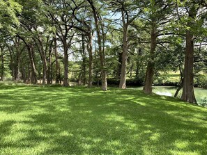 A grassy park area with trees and a body of water. - Clear River Cabin on the Medina River in Bandera, Texas (Bandera)
