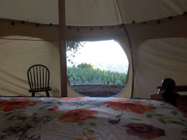 1 bedroom, desk, WiFi, bed sheets