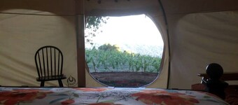 Lotus Yurt in Vineyard Overlooking Monterey Bay near Los Gatos, California
