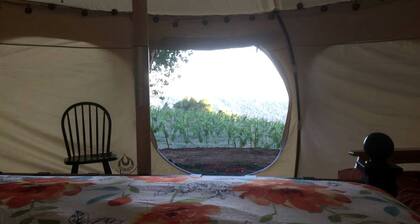 Lotus Yurt in Vineyard Overlooking Monterey Bay near Los Gatos, California