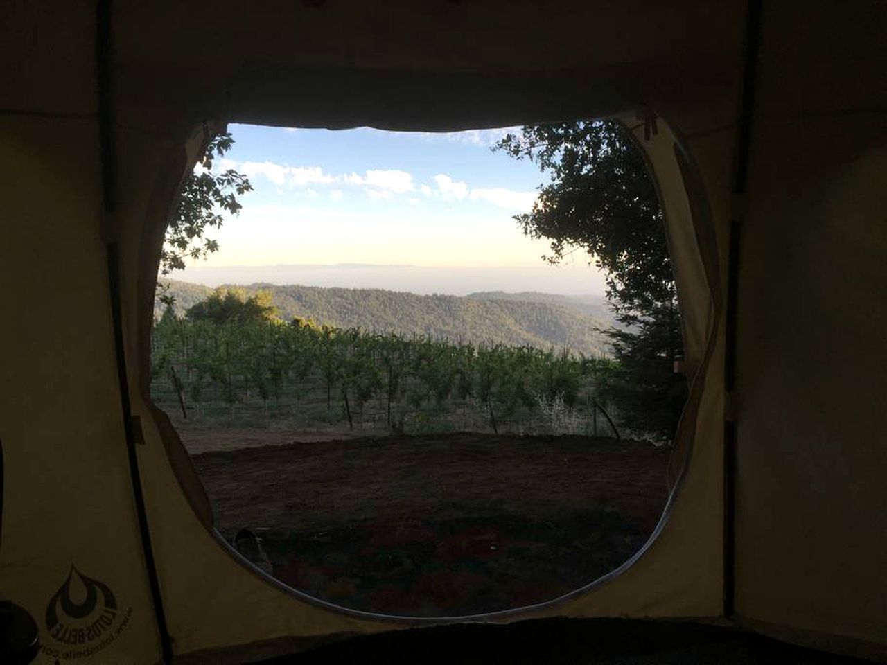 Vista des de l'allotjament
