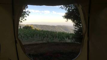 Vista des de l'allotjament