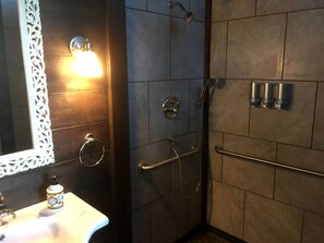 Hair dryer, towels, soap, shampoo