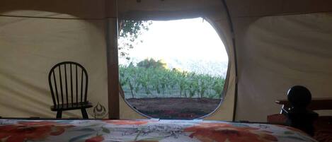 1 bedroom, desk, WiFi, bed sheets