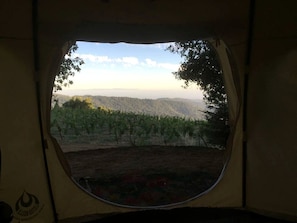 Vue depuis lâhĂ©bergement