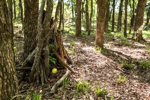 Een bos met bomen, een omgevallen boomstronk en een geel voorwerp op de grond.