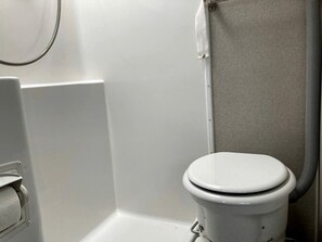A bathroom with a white toilet, a shower enclosure, and a toilet paper holder.