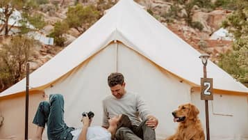 Pet-friendly