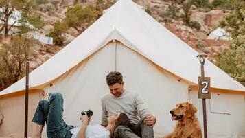 A tent with a number sign, a person taking a photo, and a dog.