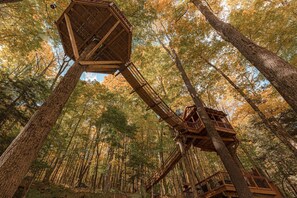 A wooden treehouse structure built into a forested area with multiple levels and platforms.